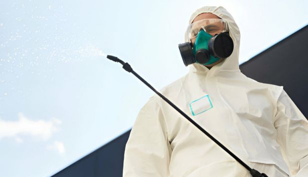 Pest Control Somerville